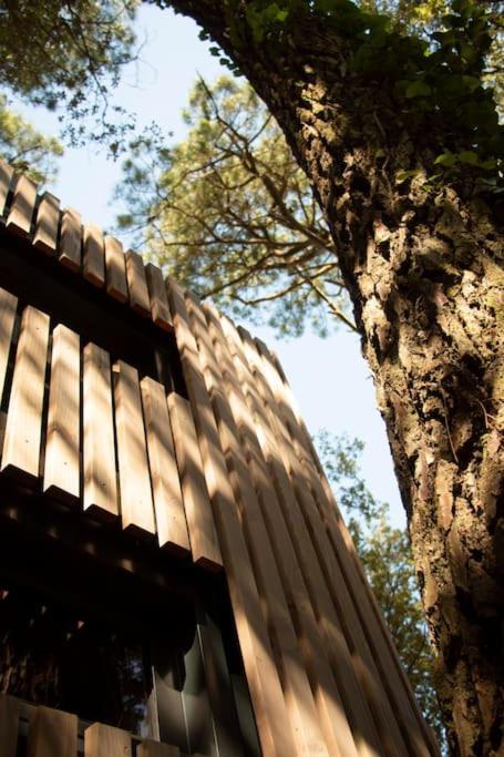 Vaimiti, Cabane Cosy Sous Les Pins Saint-Brevin-les-Pins Eksteriør billede