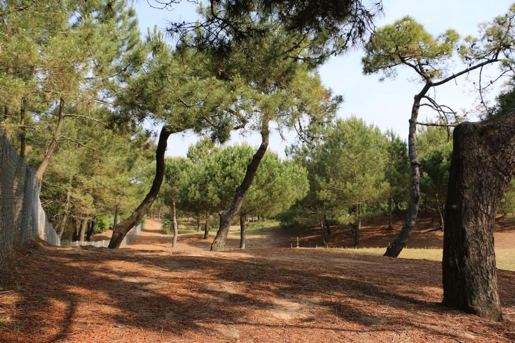 Vaimiti, Cabane Cosy Sous Les Pins Saint-Brevin-les-Pins Eksteriør billede